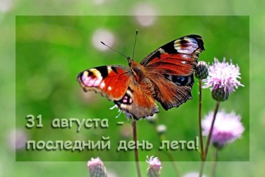 31 августа &mdash; Флор и Лавр лошадники