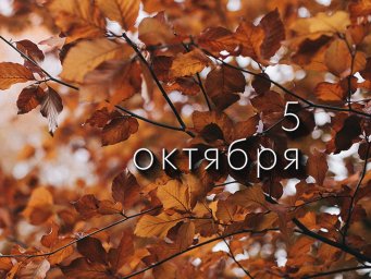 5 октября &mdash; Иона, Фок Вертоградарь