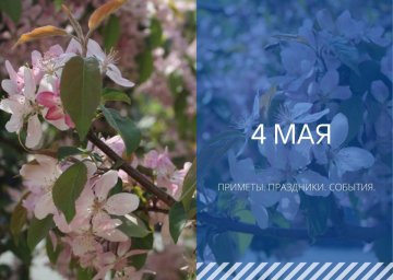4 мая &mdash; Проклов день