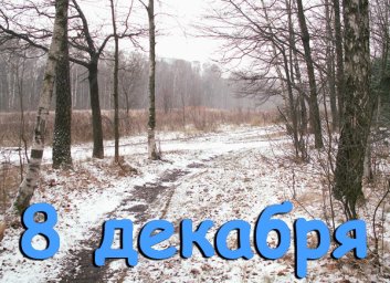 8 декабря &mdash; Клим Холодный