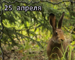 25 апреля &mdash; Василий-парильщик