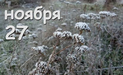 27 ноября &mdash; Филиппов день.