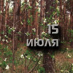 15 июля — Берегиня 15 июля — Берегиня