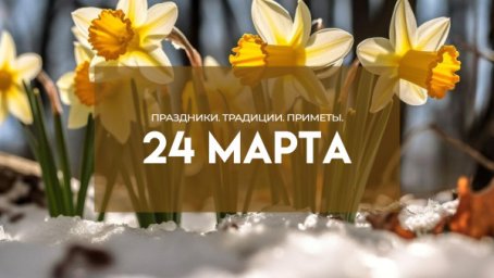 24 марта &mdash; Антип-зубник