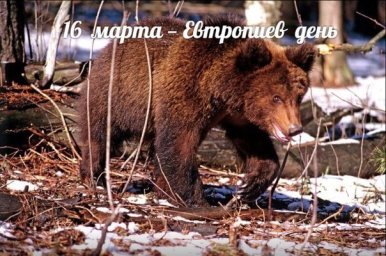 Народные приметы 16 марта