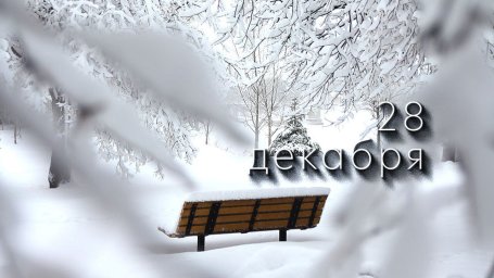28 декабря &mdash; Трифонов день