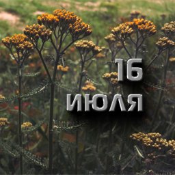 16 июля &mdash; Маков день