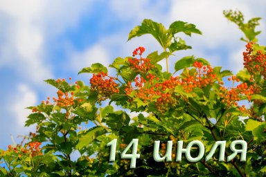 14 июля — Кузьма и Демьян 14 июля — Кузьма и Демьян
