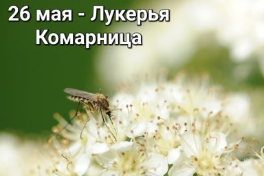 26 мая &mdash; Лукерья Комарница