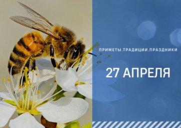 27 апреля &mdash; Мартын-лисогон