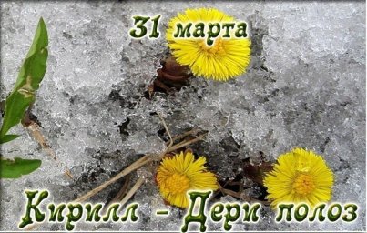 31 марта: Кирилл &mdash; дери полоз