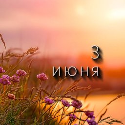 3 июня — Олёна — длинные льны 3 июня — Олёна — длинные льны