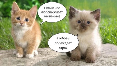 Любовь побеждает Страх