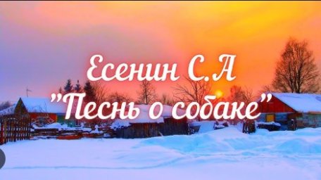 Покатились слезами в снег