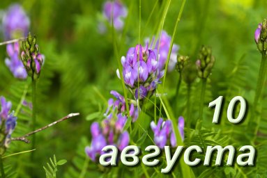 10 августа — Прохоры-Пармены 10 августа — Прохоры-Пармены
