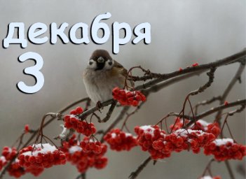 3 декабря &mdash; Прокл и Григорий Декаполит
