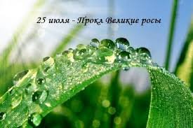 25 июля &mdash; Прокл-плакальщик