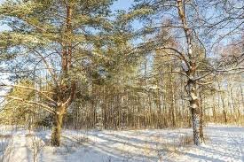 16 декабря &mdash; День Иоанна Молчальника