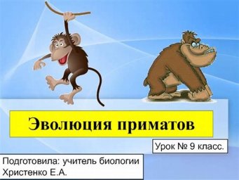 Эволюция Примата