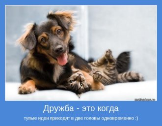 Дружба на определённых условиях.