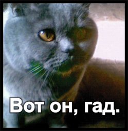 Гад ты всё-таки....