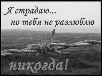 Я без тебя смогу